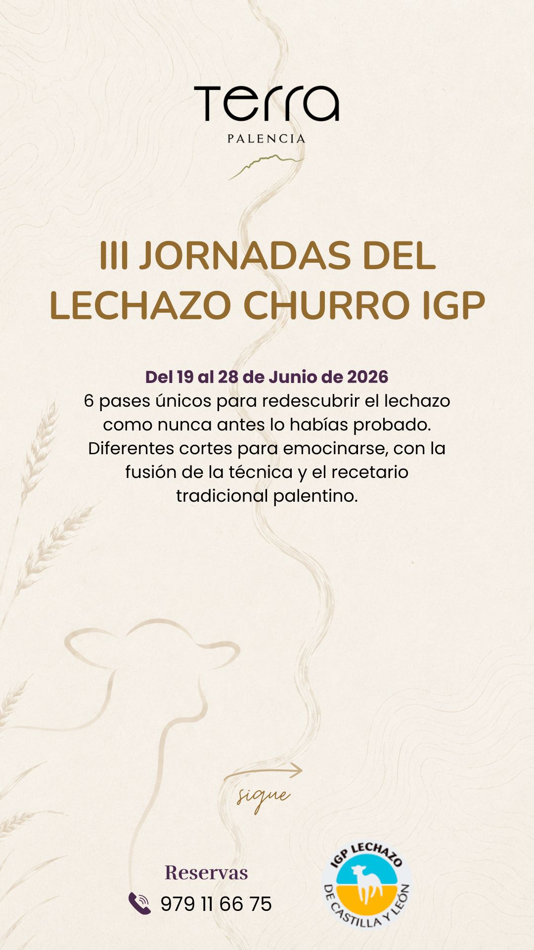 jornadas-lechazo-churro-terra-palencia-1
