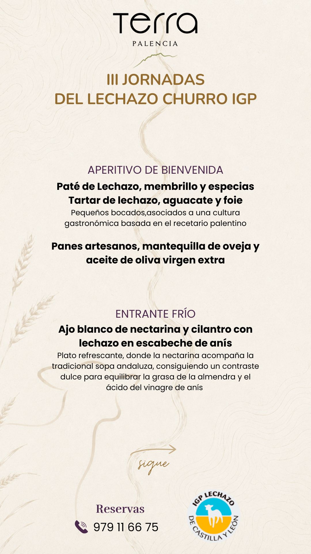 jornadas-lechazo-churro-terra-palencia-2