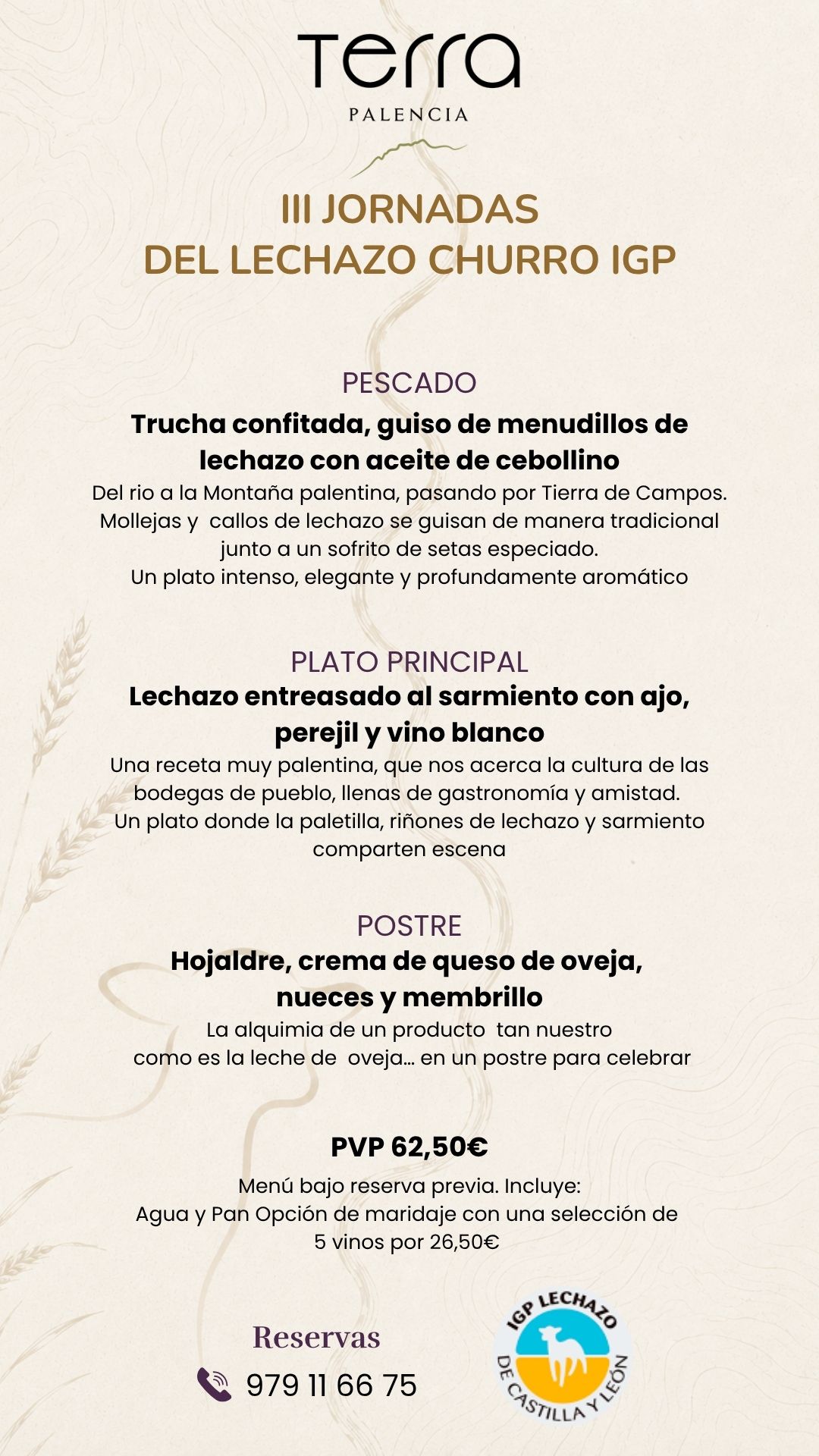jornadas-lechazo-churro-terra-palencia-3